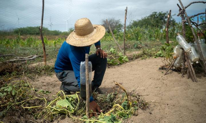 CTG Brasil se prepara para novo ciclo de crescimento sustentável