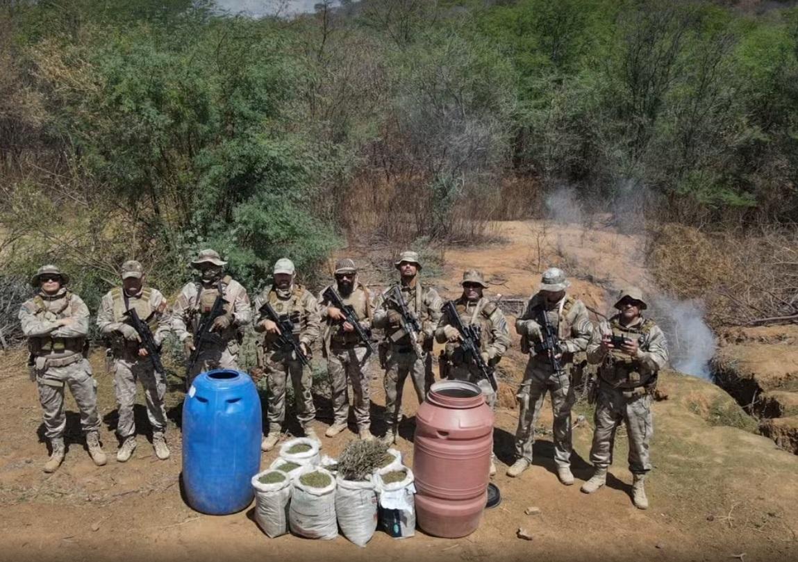 Mais de 200 quilos de maconha são apreendidos no Cariri da Paraíba