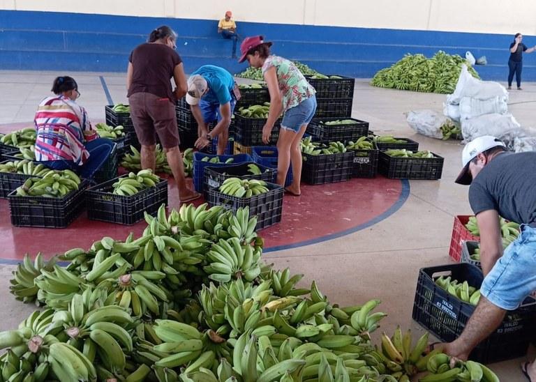 Agricultores de São José da Lagoa Tapada fecham primeira venda ao PAA