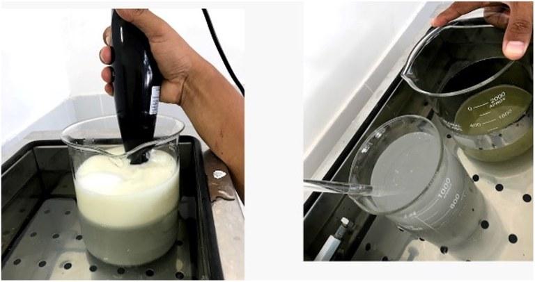 Pesquisadores desenvolvem e patenteiam nova ureia de liberação controlada para dieta de cordeiros